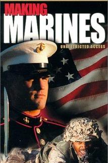 Profilový obrázek - Making Marines