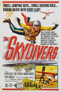 Profilový obrázek - The Skydivers