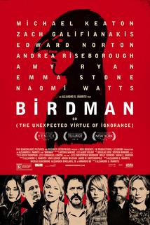 Profilový obrázek - Birdman