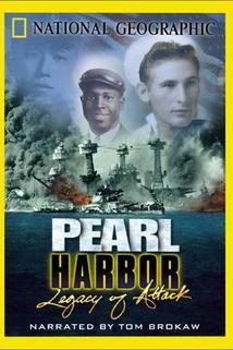 Profilový obrázek - Pearl Harbor: Legacy of Attack