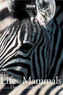 Profilový obrázek - The Life of Mammals