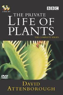 Profilový obrázek - The Private Life of Plants