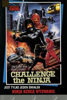 Challenge of the Ninja  - Challenge of the Ninja