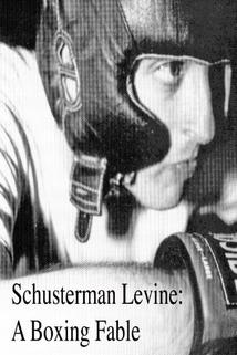 Profilový obrázek - Schusterman Levine: A Boxing Fable