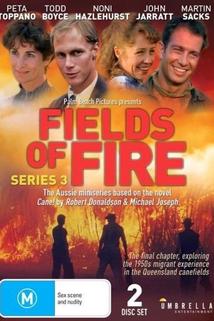 Profilový obrázek - Fields of Fire III
