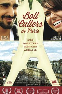Profilový obrázek - Bolt Cutters in Paris