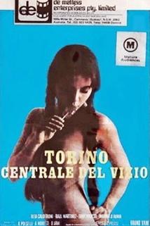 Profilový obrázek - Torino centrale del vizio