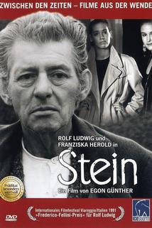 Profilový obrázek - Stein