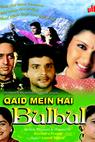 Qaid Mein Hai Bulbul (1992)