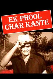 Profilový obrázek - Ek Phool Char Kaante