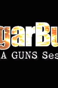 Profilový obrázek - SugarBush: TheLA Guns Sessions