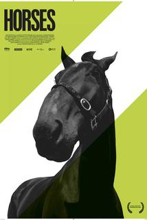 Profilový obrázek - Horses