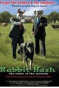 Rabbit Hash: Center of the Universe