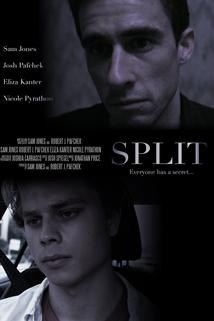 Profilový obrázek - Split
