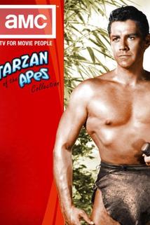 Profilový obrázek - Tarzan the Fearless