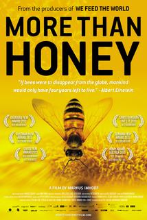 Profilový obrázek - More Than Honey
