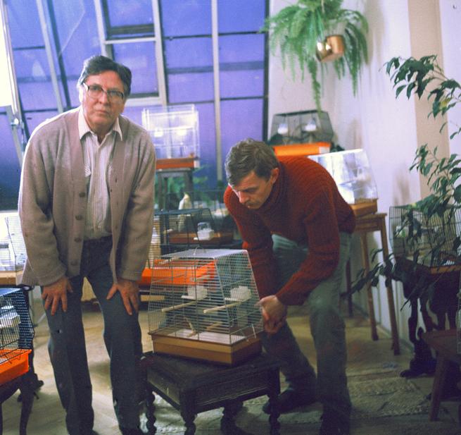 Sardinky aneb Život jedné rodinky