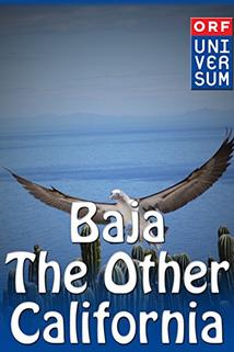 Profilový obrázek - Baja: The Other California