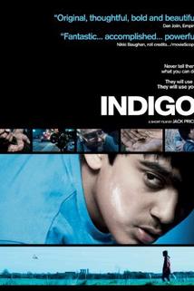 Profilový obrázek - Indigo
