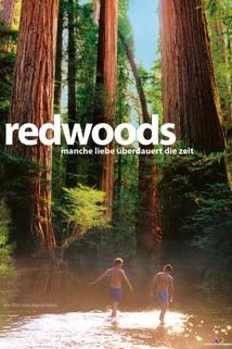 Profilový obrázek - Redwoods