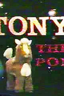 Profilový obrázek - Tony the Pony