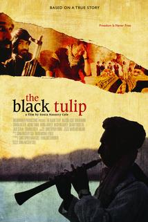Profilový obrázek - The Black Tulip