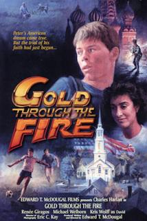 Profilový obrázek - Gold Through the Fire