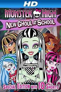 Profilový obrázek - Monster High: New Ghoul at School
