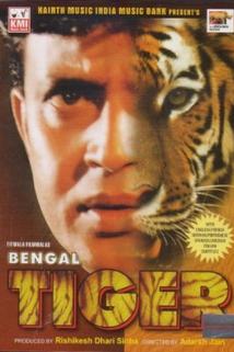 Profilový obrázek - Bengal Tiger
