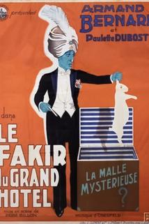 Profilový obrázek - Le fakir du Grand Hôtel