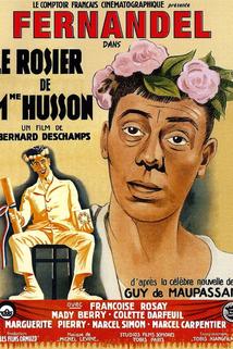 Profilový obrázek - Le rosier de Madame Husson