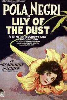 Profilový obrázek - Lily of the Dust