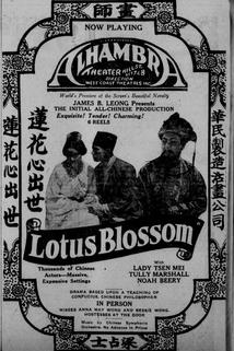 Profilový obrázek - Lotus Blossom