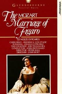 Profilový obrázek - The Marriage of Figaro