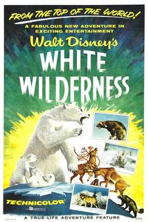 Profilový obrázek - White Wilderness