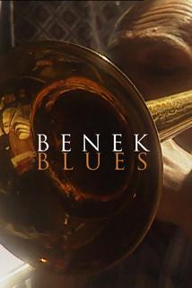 Profilový obrázek - Benek Blues