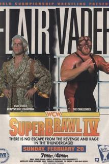 Profilový obrázek - WCW SuperBrawl IV