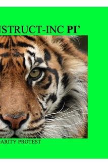 Profilový obrázek - Deconstructing Pí