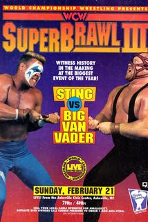 Profilový obrázek - WCW SuperBrawl III
