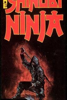 Profilový obrázek - The Shinobi Ninja