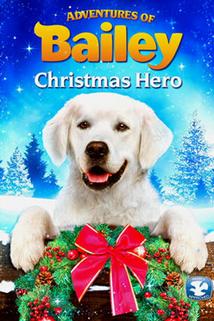 Profilový obrázek - Adventures of Bailey: Christmas Hero