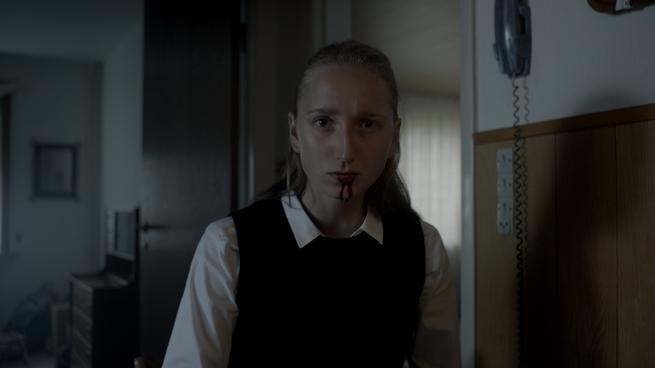 Když zvířata sní