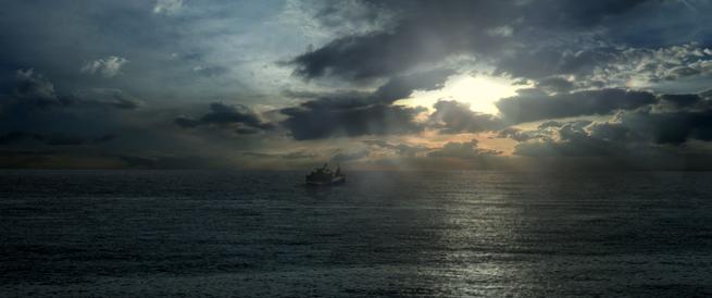 Když zvířata sní