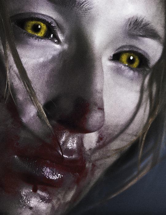 Když zvířata sní