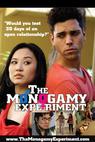 The Monogamy Experiment (2012)