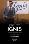 Mr. Ignis 