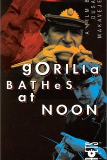 Profilový obrázek - Gorilla Bathes at Noon