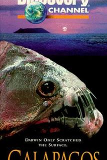 Profilový obrázek - Galapagos: Beyond Darwin
