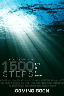 1500 Steps