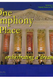 Profilový obrázek - One Symphony Place: A Dream Fulfilled